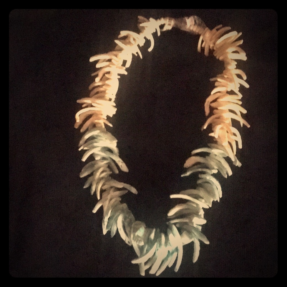 Genuine Sea Shell Choker
